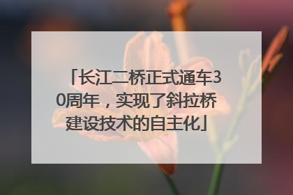 长江二桥正式通车30周年，实现了斜拉桥建设技术的自主化